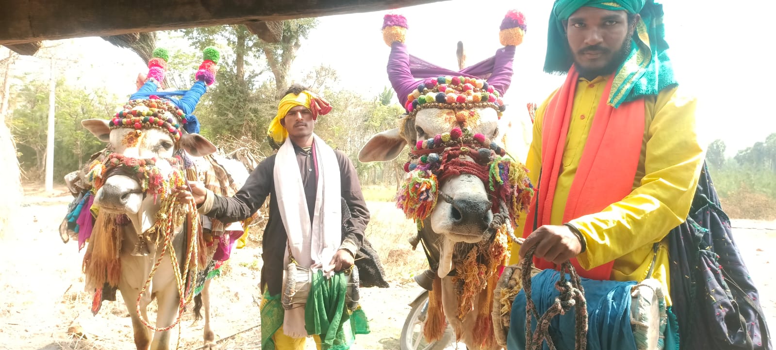 ఉన్నతమైన చదువులు,ఉన్నా ఉద్యోగాలు పోందలేకపోతున్నాం!