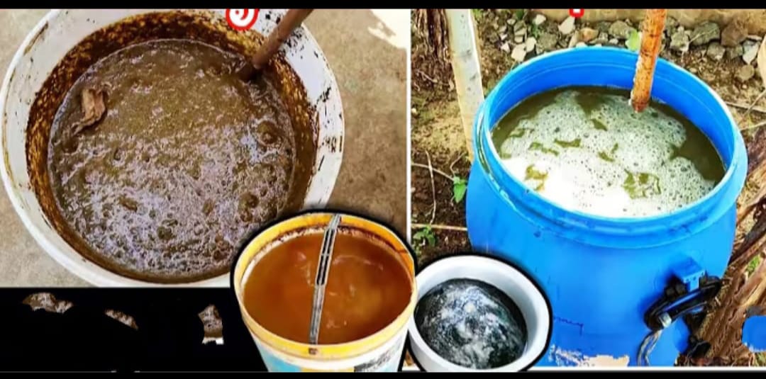 ప్రకృతి వ్యవసాయం పేరుతో… ప్రజా ధనం దుర్వినియోగం