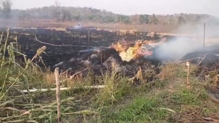 ఆగ్నికి బుగ్గిపాలు ఐన పంటను పరిశీలించి, రైతును ఓదర్చిన పానపటార్ గ్రామపంచాయితీ సర్పంచ్ ఆత్రం తులసి.